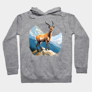 chamois Hoodie